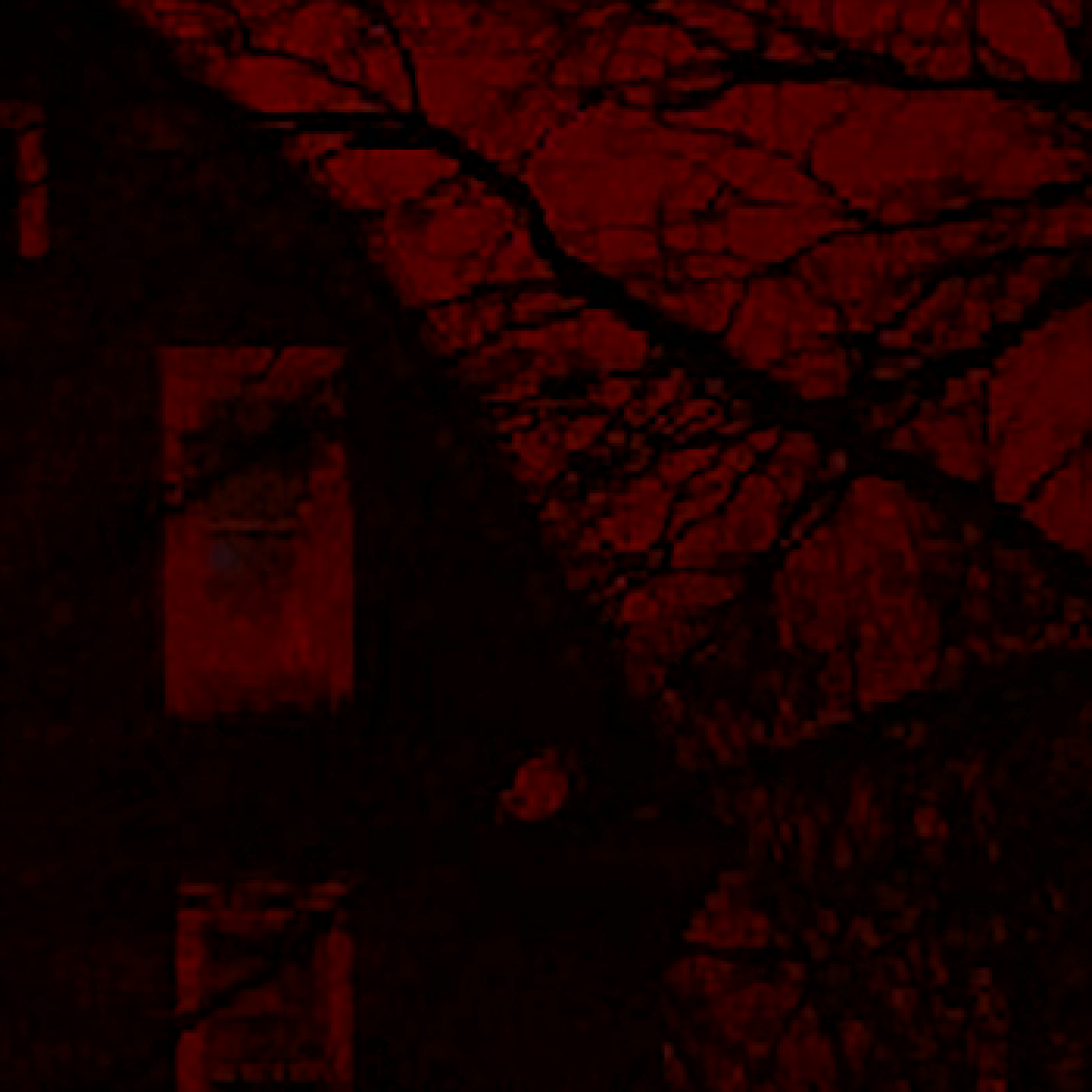 Webmaster - digital mythos (2021)