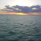 journey through sweet fan-made lo-fi music videos